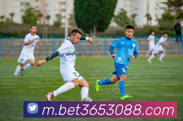 bet365中国官网服务体系